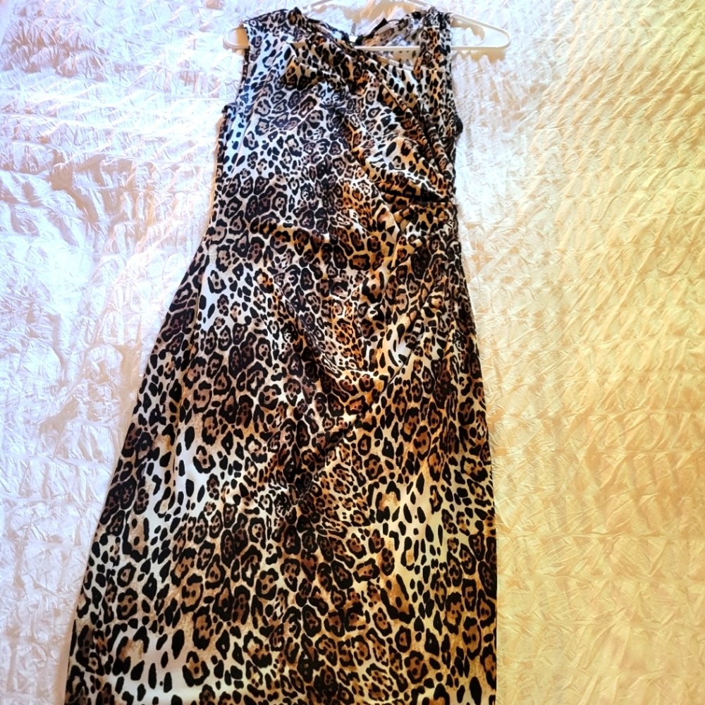 Leopard Print Dress
